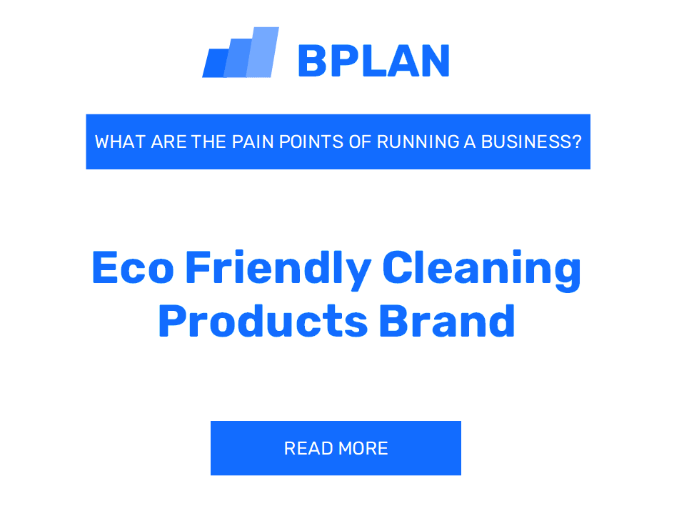 What Are the Pain Points of Running an Eco-FriendlyCleaning Products Brand Business?