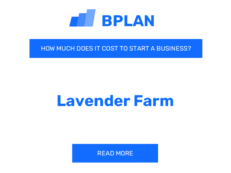 How Much Does It Cost to Start a Lavender Farm?