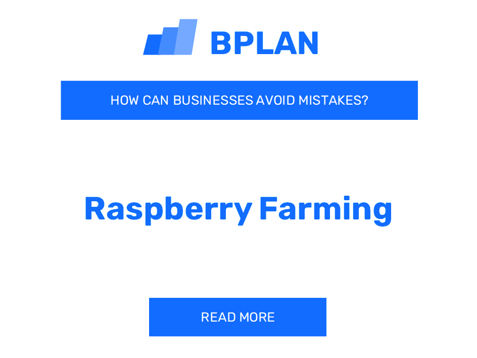 How Can Raspberry Farming Businesses Avoid Mistakes?