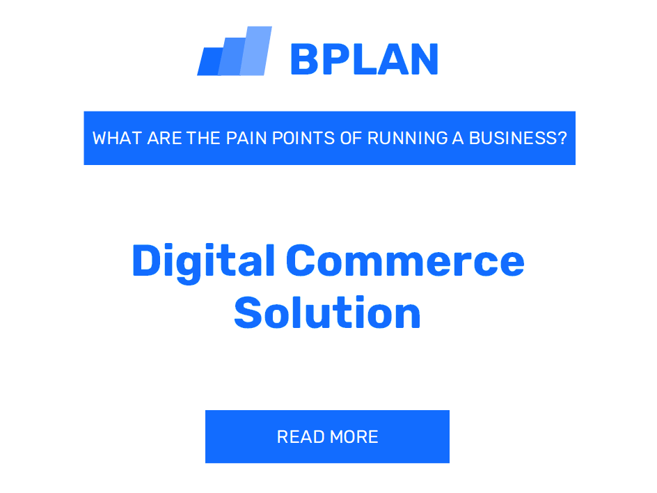 What Are the Pain Points of Running a Digital Commerce Solution Business?