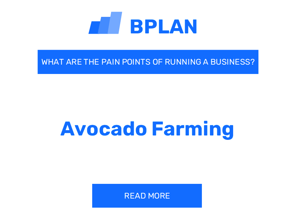 What Are the Pain Points of Running an Avocado Farming Business?