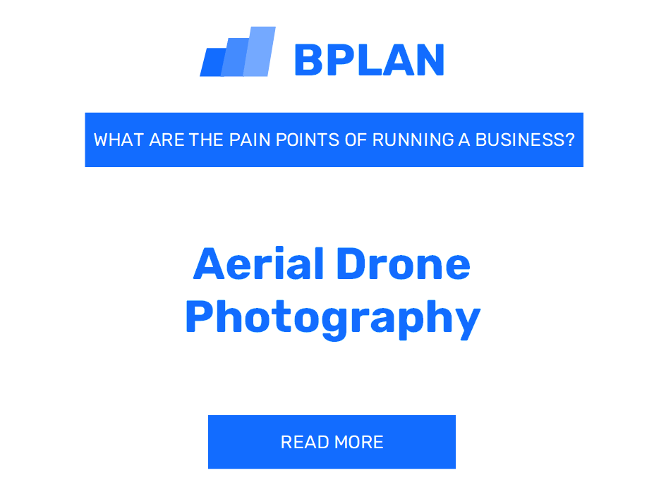 What Are the Pain Points of Running an Aerial Drone Photography Business?