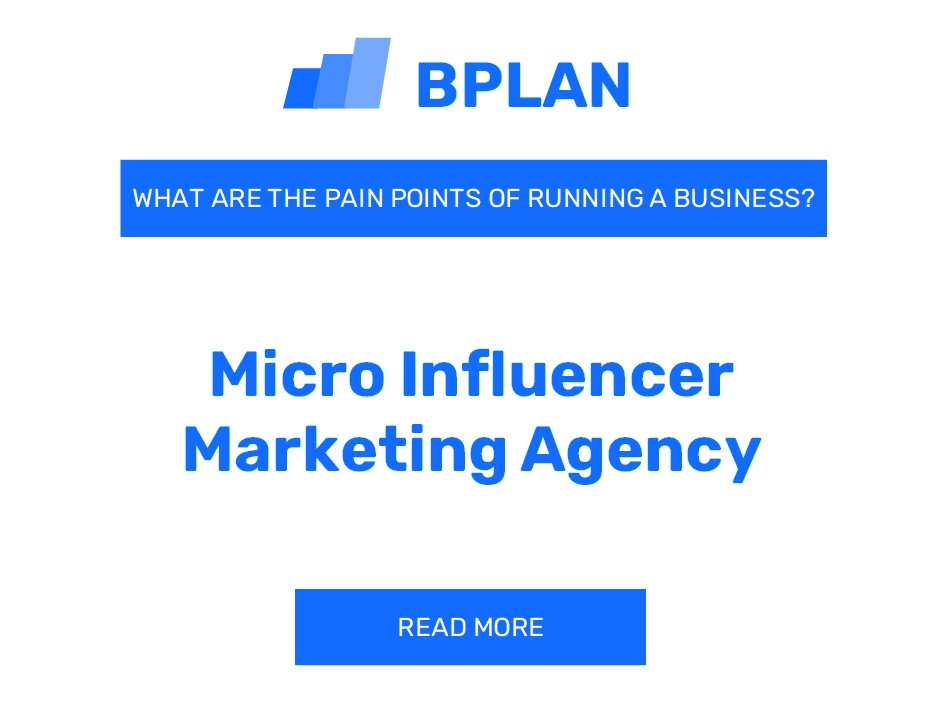 What Are the Pain Points of Running a Micro-Influencer Marketing Agency Business?