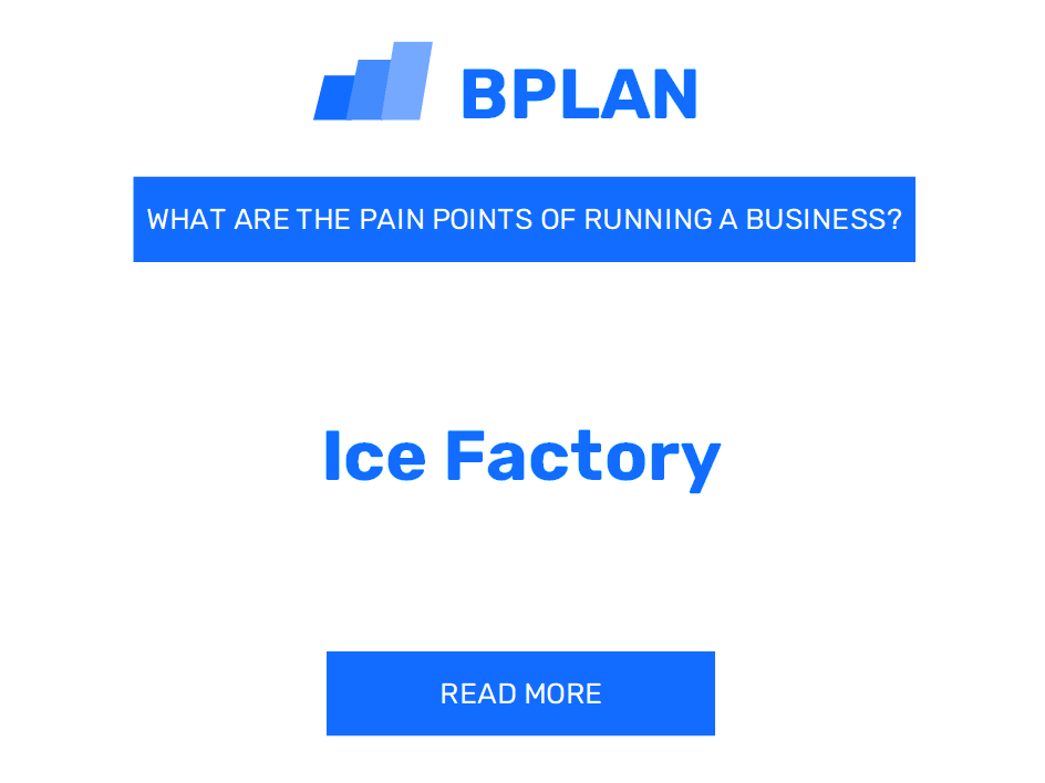 What Are the Pain Points of Running an Ice Factory Business?