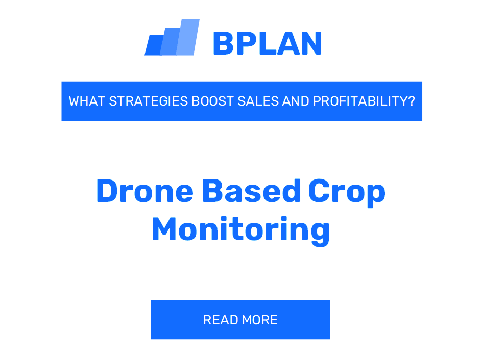 What Strategies Boost Sales and Profitability of Drone-Based Crop Monitoring Business?