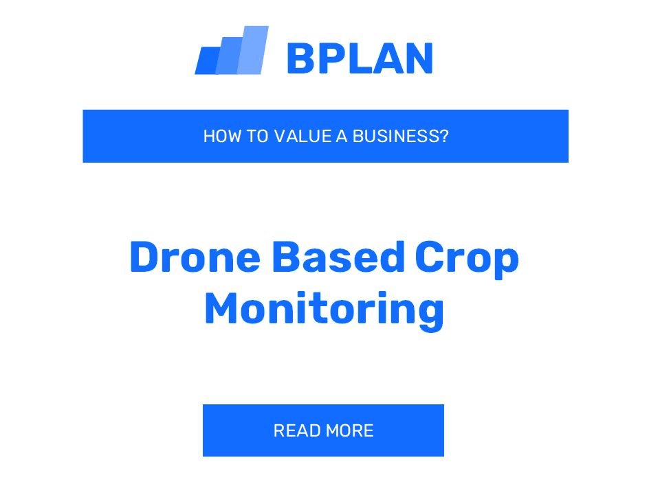 How to Value a Drone-based Crop Monitoring Business?