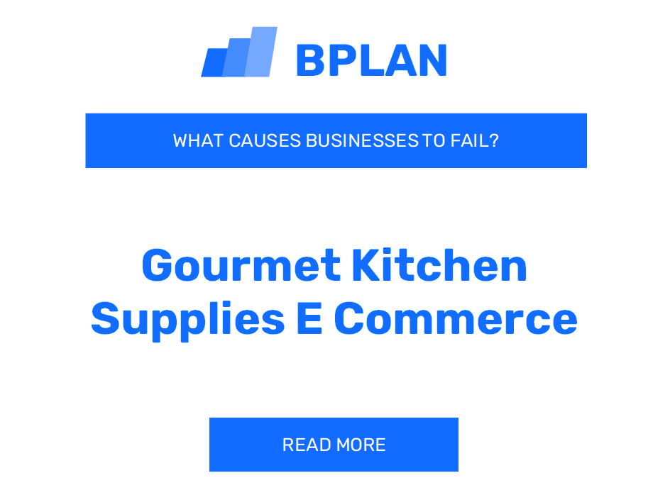 Why Do Gourmet Kitchen Supplies E-Commerce Businesses Fail?