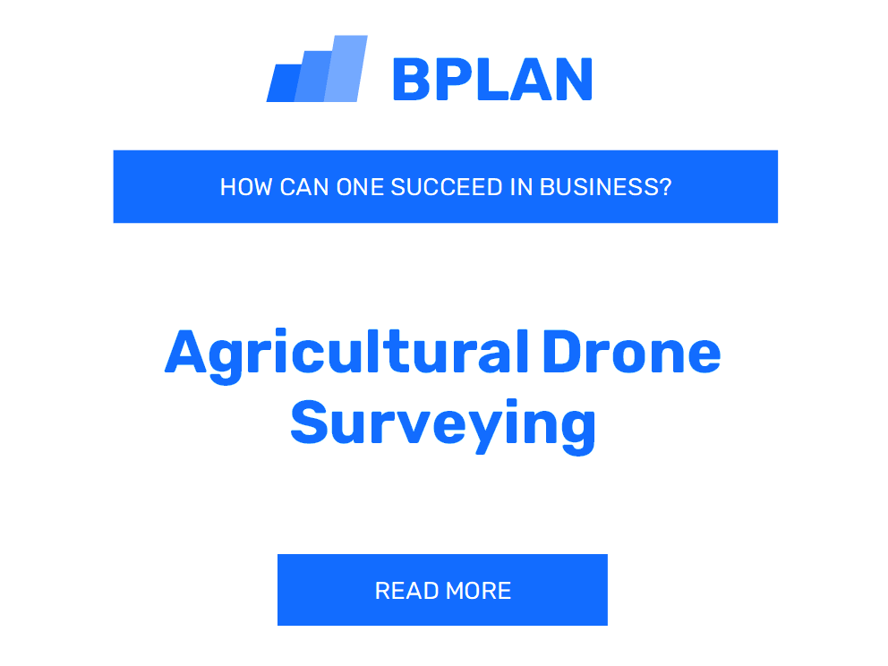 How Can One Succeed in Agricultural Drone Surveying Business?