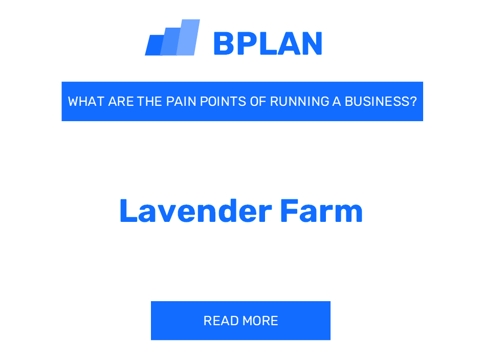 What Are the Pain Points of Running a Lavender Farm Business?