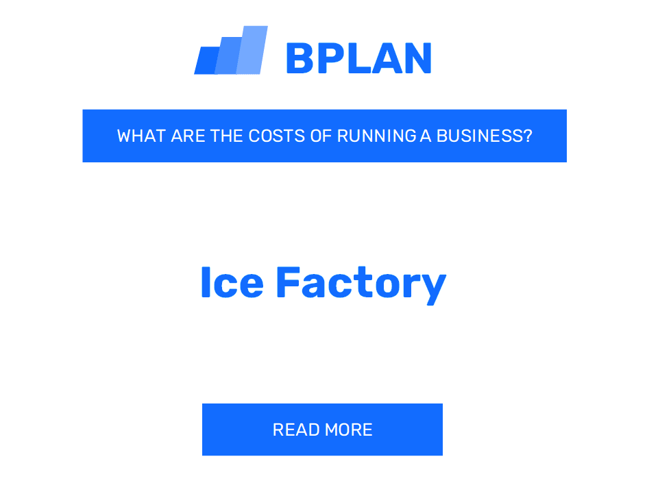 What Are the Costs of Running an Ice Factory Business