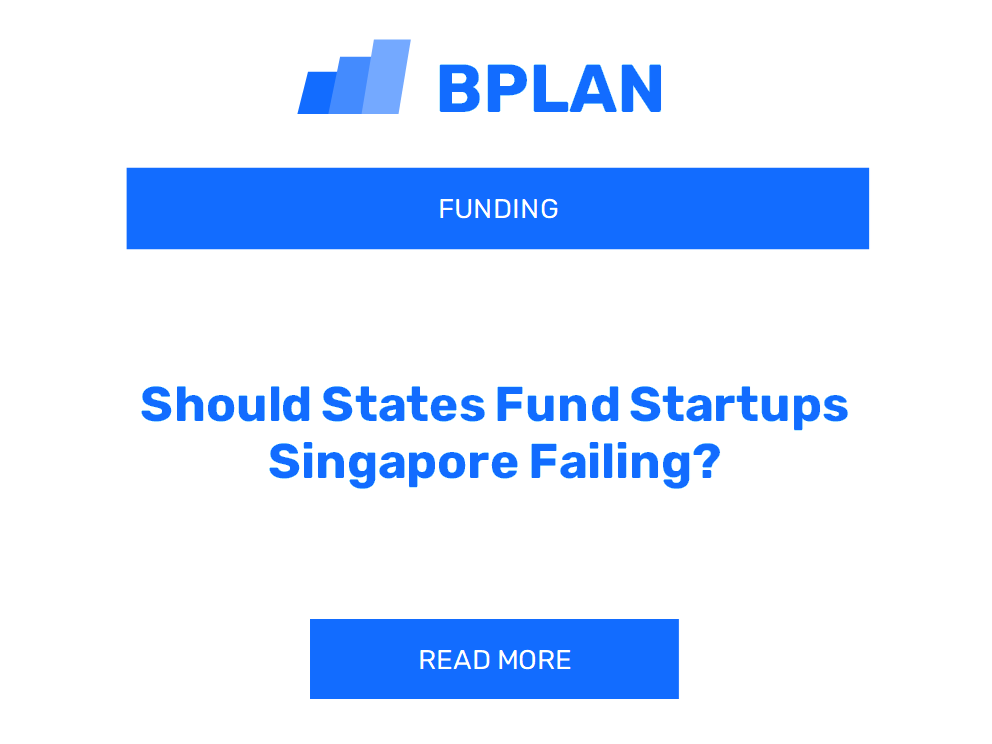Should States Fund Startups Singapore Failing?