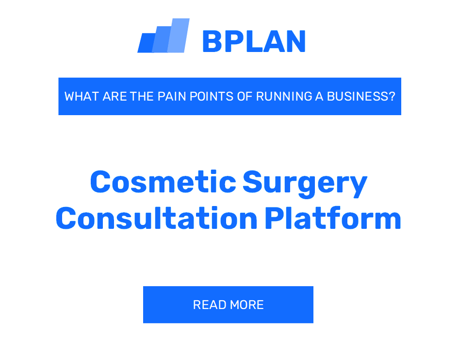 What Are the Challenges of Operating a Cosmetic Surgery Consultation Platform Business?