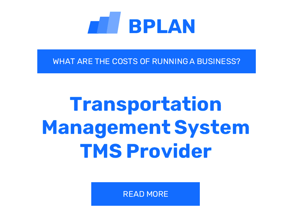 What Are the Costs of Running a Transportation Management System (TMS) Provider Business?