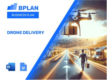 Drone Delivery Business Plan