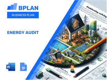 Energy AudIT Business Plan