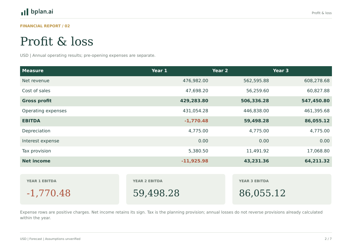 Actual annual profit and loss report for Stoneleaf Studio