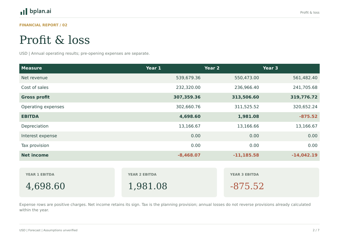 Actual annual profit and loss report for ClearSpan Auto Glass