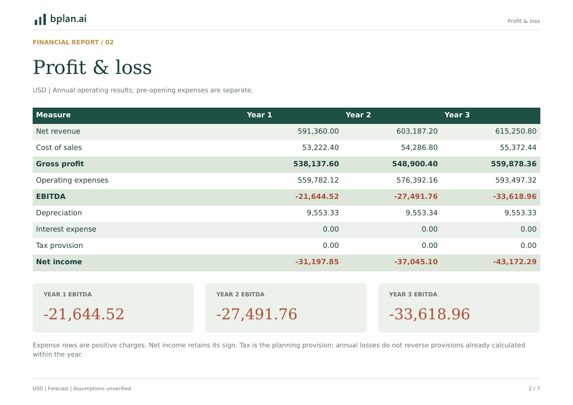 Actual annual profit and loss report for Northmark Brand Studio