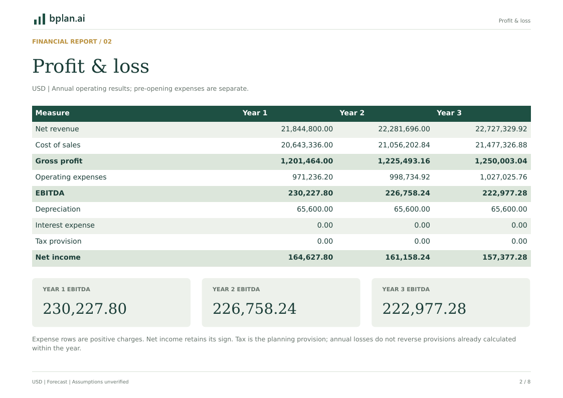 Actual annual profit and loss report for Cedar Motor Co