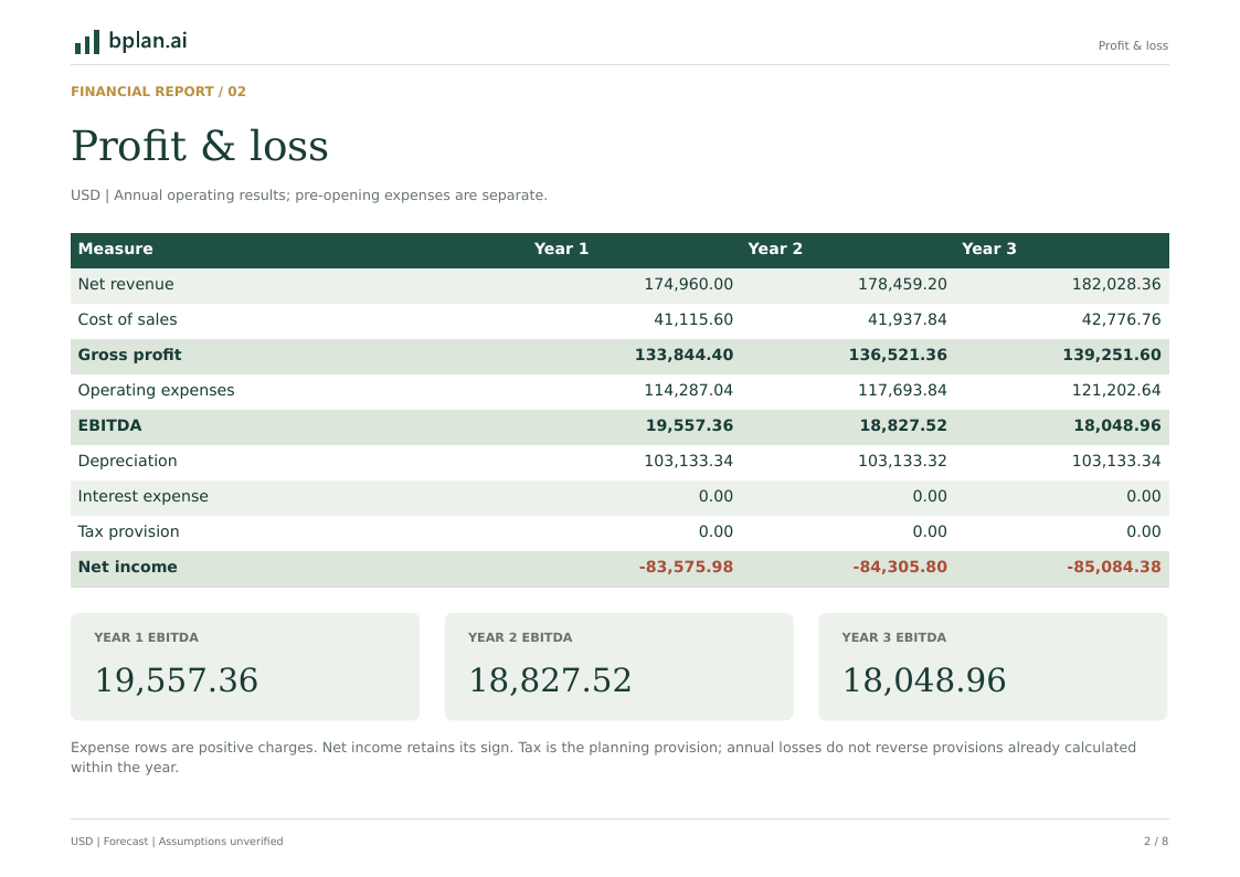 Actual annual profit and loss report for ClearCycle Laundry