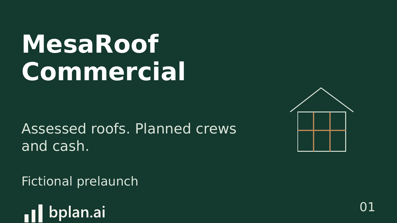 Actual MesaRoof Commercial pitch title