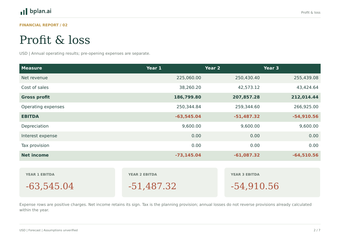 Actual annual profit and loss report for HearthPath Cleanup