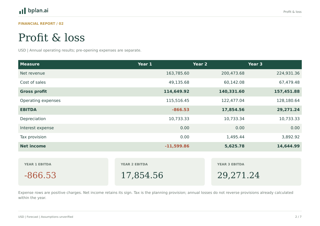 Actual annual profit and loss report for RouteReady Auto
