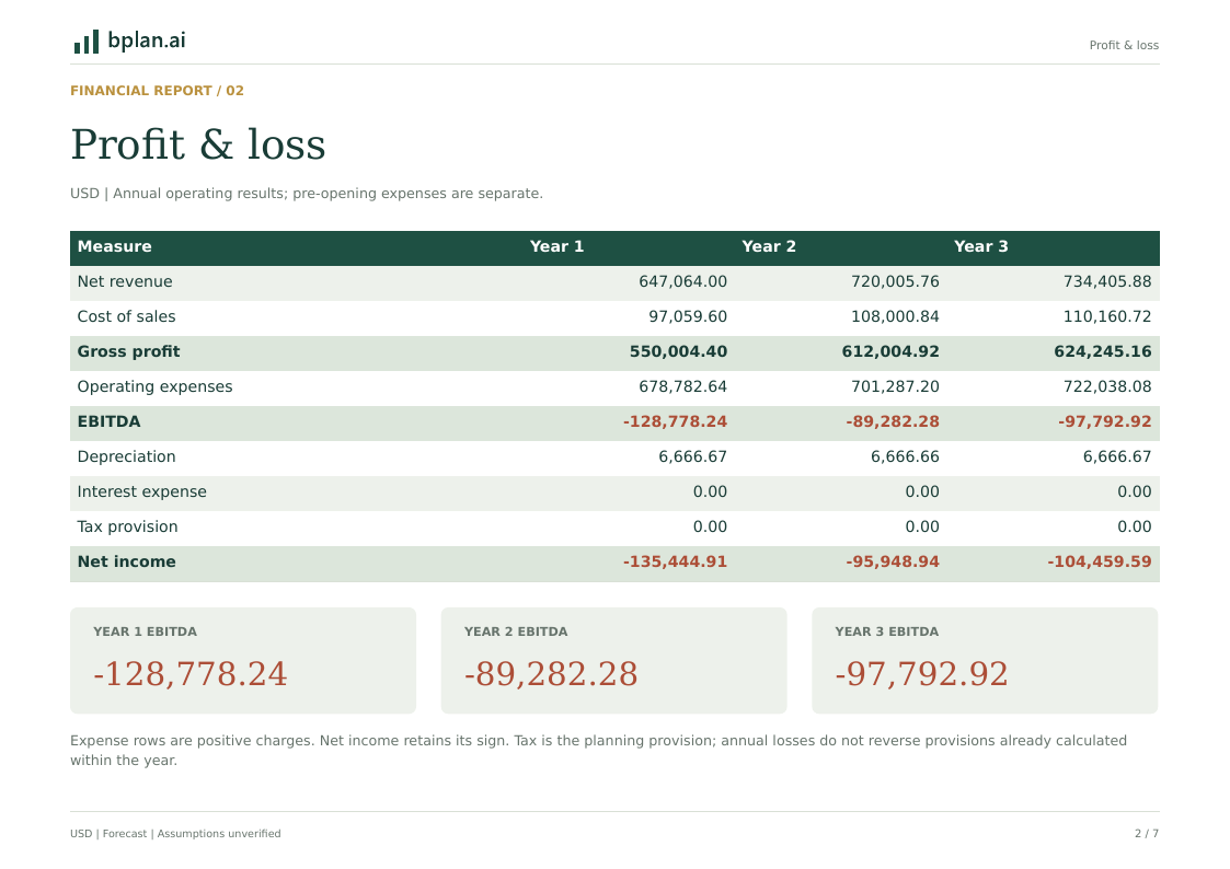 Actual annual profit and loss report for StrataBridge Advisory