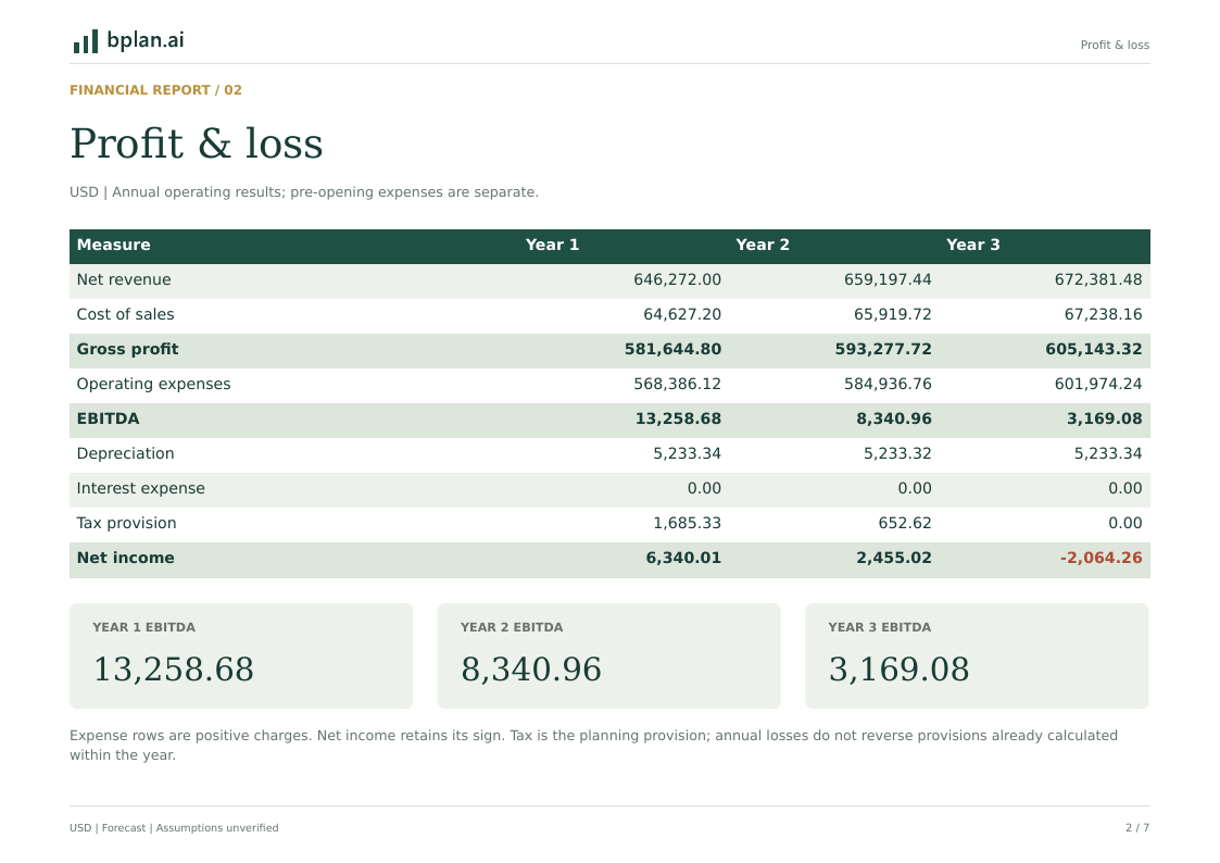 Actual annual profit and loss report for SignalPier Launch